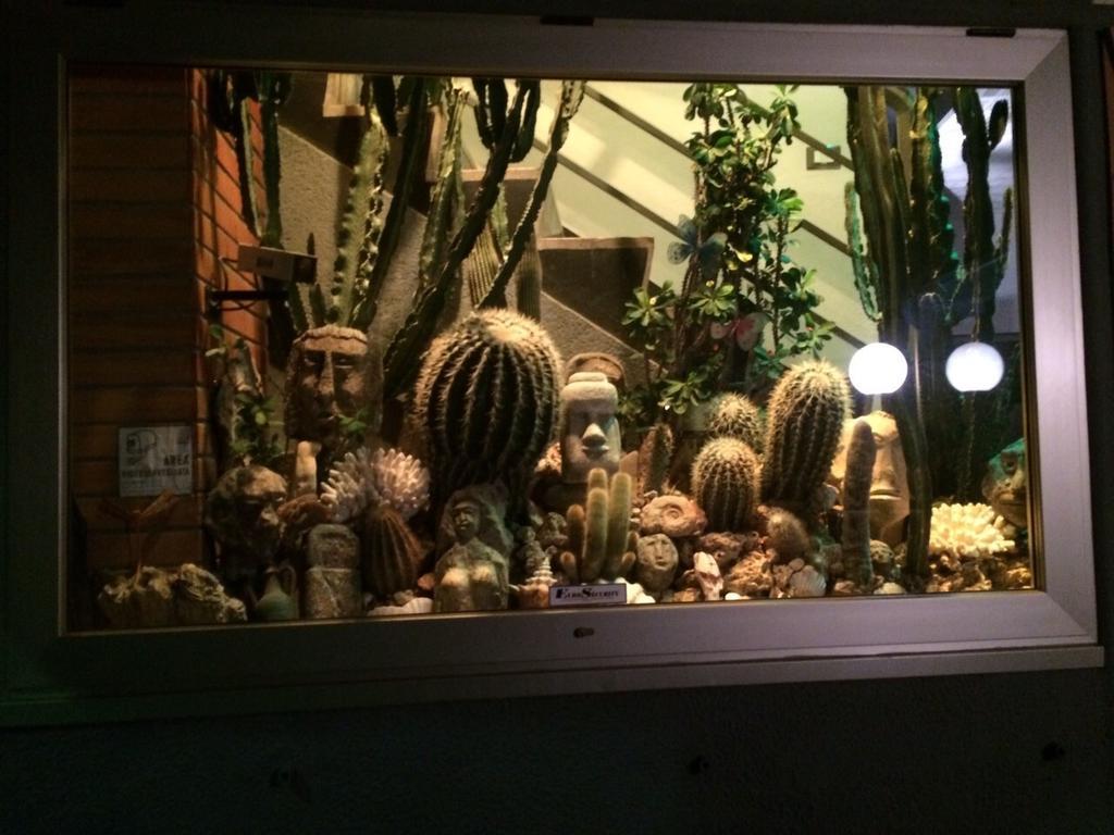 Residence Dei Fiori ボルディゲーラ エクステリア 写真
